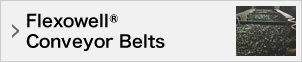 Flexowell®Conveyor Belts