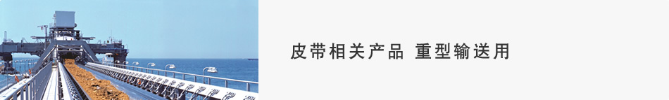 皮带相关产品 重型输送用