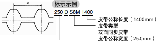 双面STS皮带