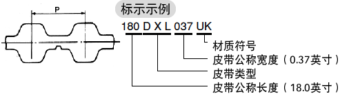 DXL型
