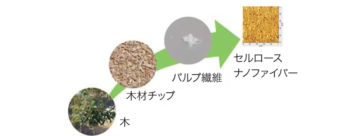 セルロースナノファイバー