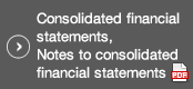 Consolidated financial statements, Notes to consolidated financial statements
