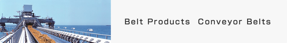 Belt Products Conveyor Belts