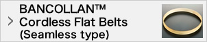 BANCOLLAN™ Cordless Flat Belts (Seamless type)