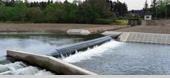 Rubber Dams