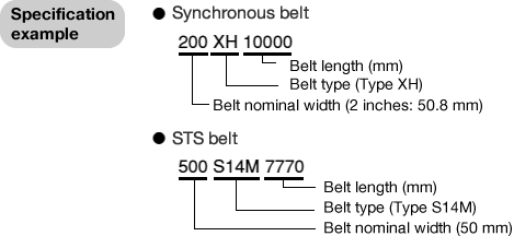 Long Synchronous Belts - Wintech Engineering Supply