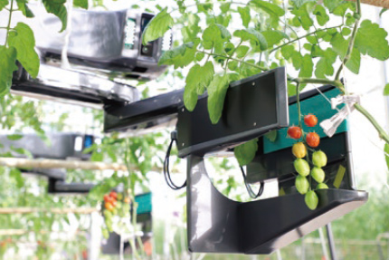 Inaho's harvesting hand using our belts 