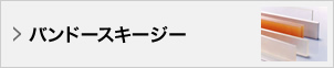 バンドースキージー