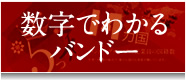 数字で分かるバンドー